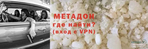 сатива Беломорск