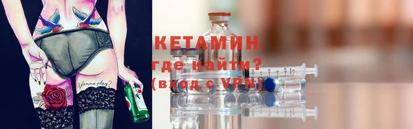 сатива Беломорск