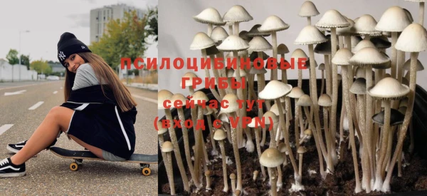 СК Белокуриха