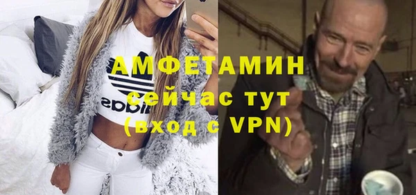 сатива Беломорск