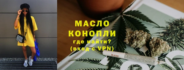 сатива Беломорск