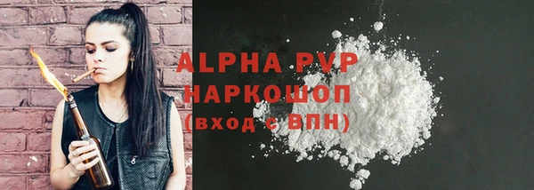 сатива Беломорск